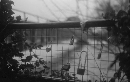 B&W 35mm film