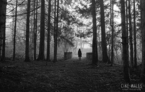 Alone in the woods