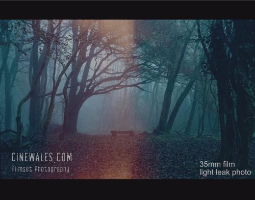 lloyd woods 2Bleak 2 black lines